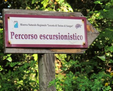 Lecceta di Torino di Sangro
