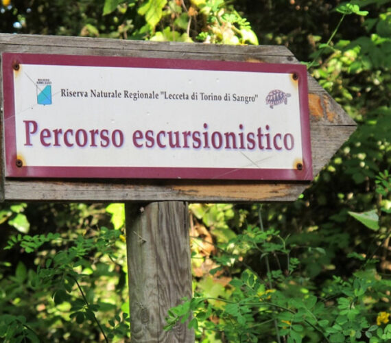 Lecceta di Torino di Sangro